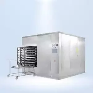Steam+Air Mixture Sterilizer Manufacturer