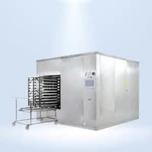 STEAM+AIR MIXTURE STERILIZER & TERNINAL STEAM STERILIZER